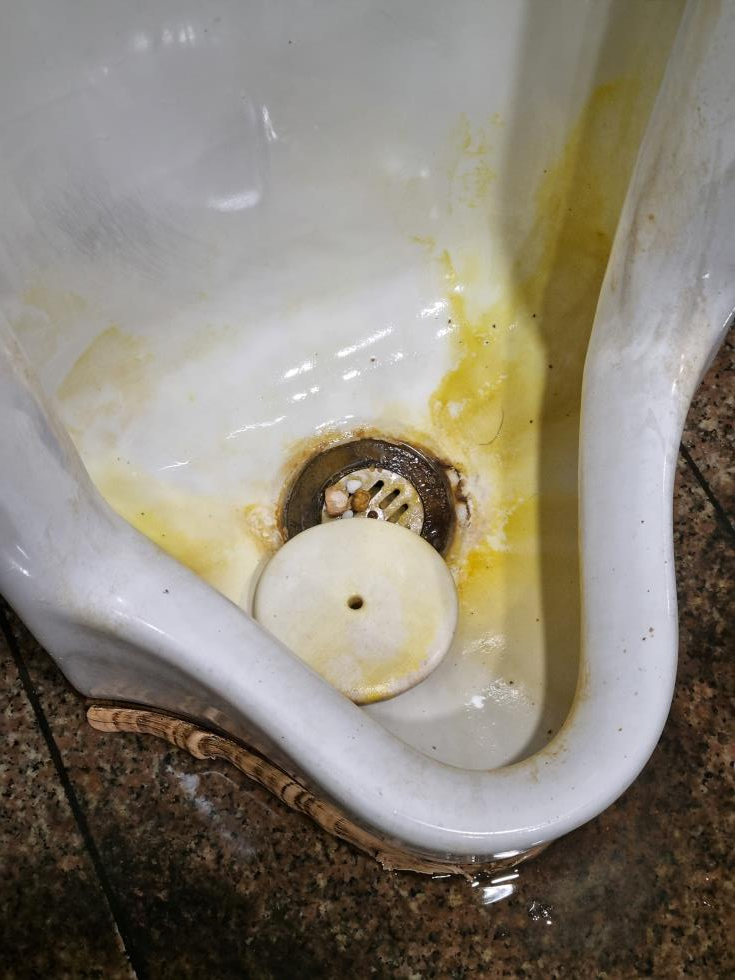 화장실 세척 작업 전